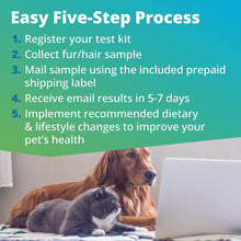 Load image into Gallery viewer, 5Strands Pet Raw Food Intolerance &amp; Environmental Sensitivity Test, at Home Test for Dogs &amp; Cats
