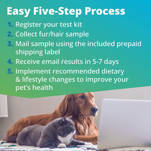 Load image into Gallery viewer, 5Strands Pet Health Test - Food Intolerance, Environment Intolerance, Nutrition, Metals and Minerals
