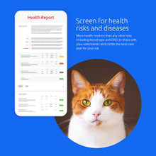 Load image into Gallery viewer, Basepaws Cat DNA Test | Breed + Health + Dental Report | Top Cat Breeds &amp; 114 Health &amp; Trait Markers

