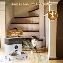 Load image into Gallery viewer, Automatic Cat Feeder for Two Cats, 2.4G WiFi App Control, 5L/21 Cup Capacity
