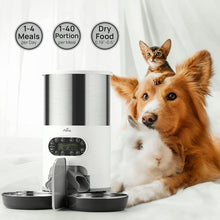 Load image into Gallery viewer, Automatic Pet Feeder for 2 Pets, 4.5L / 19.1cup Large Capacity

