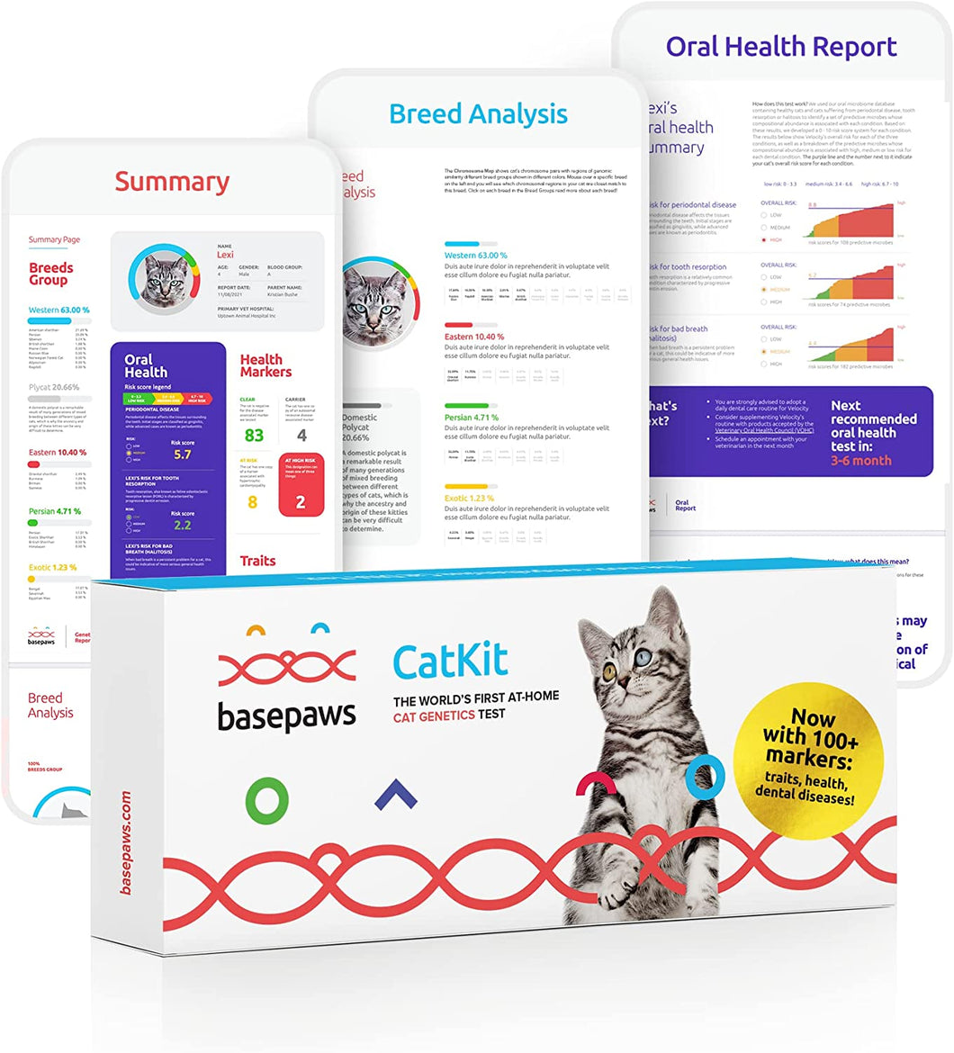 Basepaws Cat DNA Test | Breed + Health + Dental Report | Top Cat Breeds & 114 Health & Trait Markers