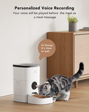 Load image into Gallery viewer, PETLIBRO Automatic Cat Feeders, Cat Food Dispenser with Desiccant Bag for Pet Dry Food, WiFi Timed Cat Feeder 1-4 Meals

