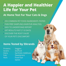 Load image into Gallery viewer, 5Strands Pet Food Intolerance Test, at Home Sensitivity Test for Dogs &amp; Cats, 270 Items
