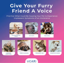 Load image into Gallery viewer, UCARI Pet Sensitivity &amp; Intolerance Test Kit for Dogs &amp; Cats | 1000+ Environmental &amp; Pet Food Intolerance Screening | | 4 Tests in 1
