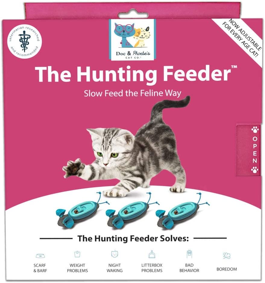 Cat Feeder Indoor Hunting