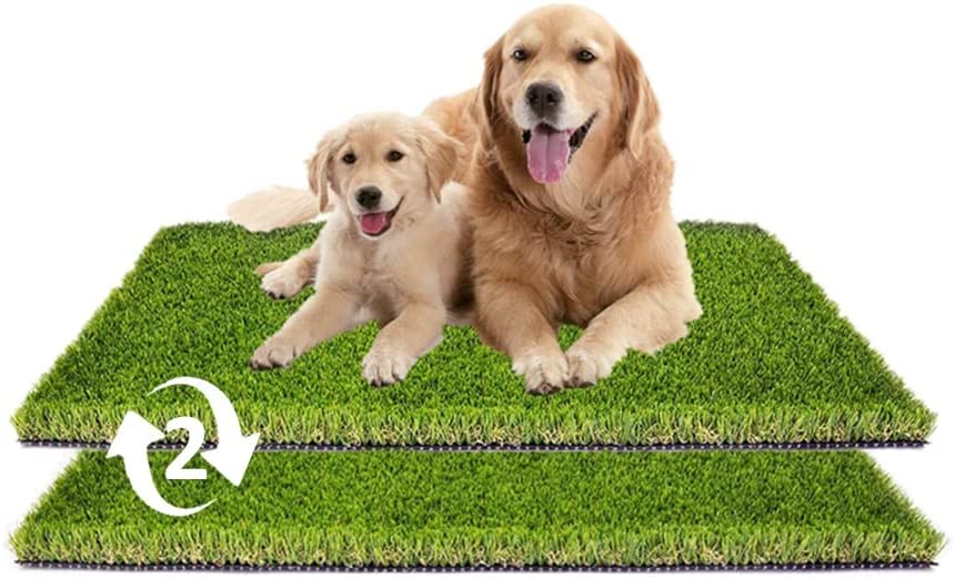 Dog's Artificial Grass 2 Pack Replacement Dog Grass Pads, 33inch X Outdoor dog pee