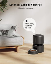 Load image into Gallery viewer, Automatic Cat Feeders, Pet Dry Food Dispenser Triple Preservation with Stainless Steel Bowl &amp; Twist Lock Lid, Timed Cat Feeder Up to 50 Portions 6 Meals Per Day
