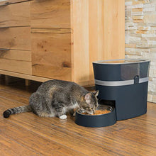 Load image into Gallery viewer, PetSafe Smart Feed Automatic Dog and Cat Feeder 6L
