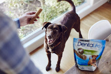 Load image into Gallery viewer, Dentalife Large Dog Treats 18 Chews
