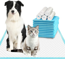 Load image into Gallery viewer, DOG AND CAT&#39;S TRAINING PADS （60 * 60cm, Blue, 40pcs）
