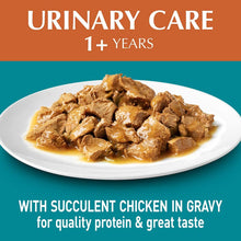 Load image into Gallery viewer, Purina ONE Adult Urinary Care with Chicken Wet Cat Food, 12 Pouch 0.92KG
