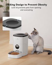 Load image into Gallery viewer, Automatic Cat Feeders, Cat Food Dispenser with Customize Feeding Schedule, Automatic Pet Feeder for Cat Dog 1-4 Meals Dry Food 4L
