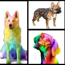 Load image into Gallery viewer, Washable Pet Hair Dye Paint for Dog Grooming kit Temporary Colors
