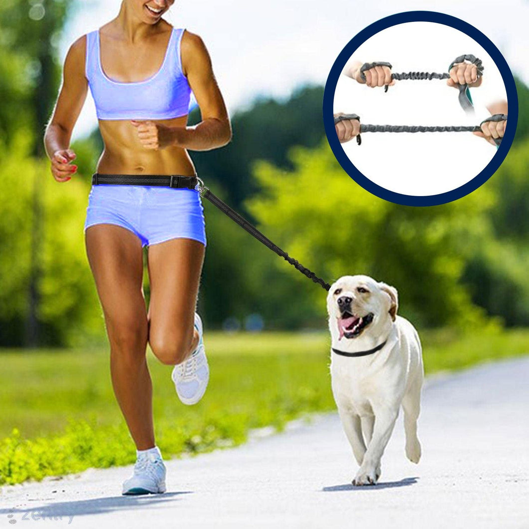 Hands Free Dog Lead for Running, Walking, Hiking, Canicross Dual Handle Comfortable Leash Band Reflective Stitching Adjustable