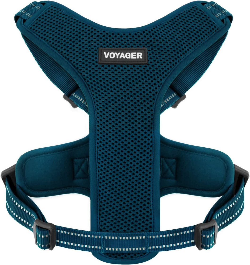 Air Frontier Mesh Dog Harness with Steel Leash No-Pull Design - Large