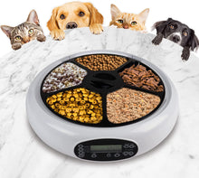 Load image into Gallery viewer, Lentek 5 Meal Automatic Cat Feeder, Dish with Voice Message, Wet or Dry Pet Food Dispenser Automatic Pet Feeder with Recorder, Speaker and Digital Timer for Dogs, Cats, Rabbits, &amp; Other Pets (White)
