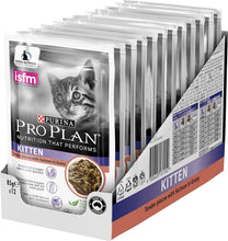 Load image into Gallery viewer, Pro Plan Salmon in Jelly Wet Kitten Food 12 Pouches Medium
