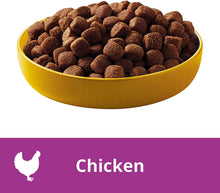 Load image into Gallery viewer, PEDIGREE Adult Chicken Dry Dog Food 3kg Bag * 4 Pack
