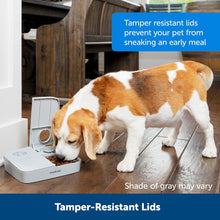 Load image into Gallery viewer, Analog 2 Meal Programmable Pet Feeder, Automatic Dog and Cat Feeder
