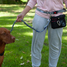 Load image into Gallery viewer, Hands Free Dog Lead for Running, Walking, Hiking, Canicross Dual Handle Comfortable Leash Band Reflective Stitching Adjustable
