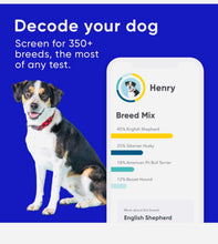 Load image into Gallery viewer, Dog DNA test kit,breed &amp; genetic ancestry
