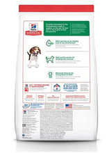 Load image into Gallery viewer, Hills science chicken meal &amp; barley recipe dry dog food for medium breed dogs 3kg
