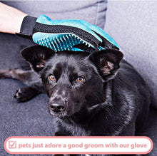 Load image into Gallery viewer, Paul’s Pet Grooming Glove,For cat ,Kitten,Dog,Puppy ,Rabbit ,Horse,Dual Sided 2 in 1
