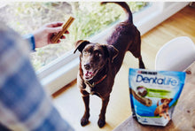 Load image into Gallery viewer, Dentalife Large Dog Treats 18 Chews
