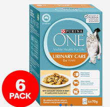 Load image into Gallery viewer, Purina One Adult Urinary Care Cat Food Chicken In Gravy 6*70gm
